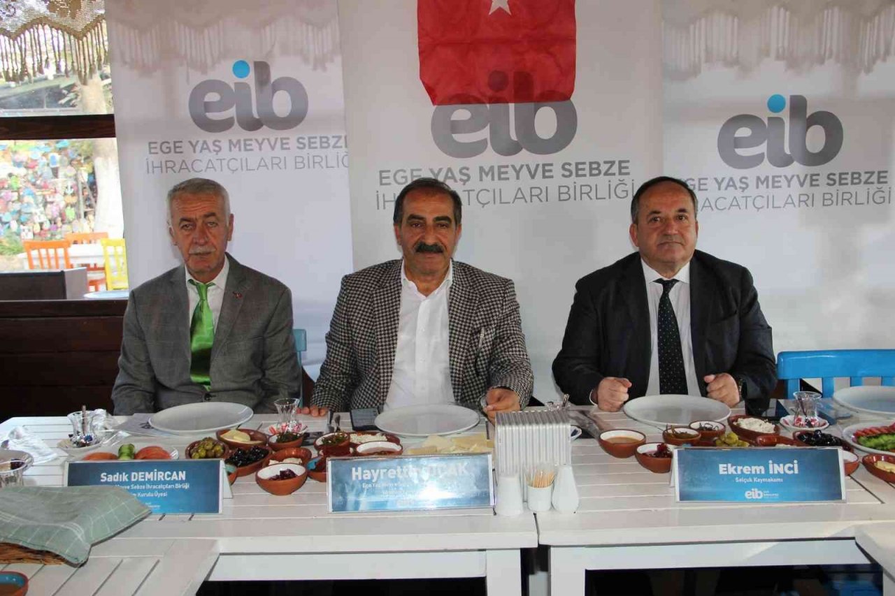 Ayvada hasat coşkusu