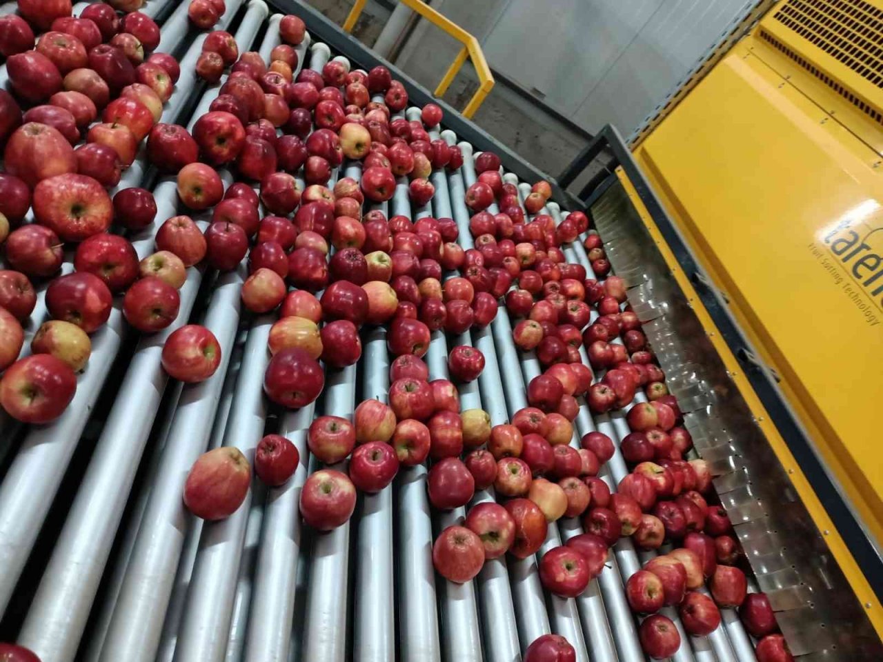 Elma üretimi yatırımlarla artırılacak
