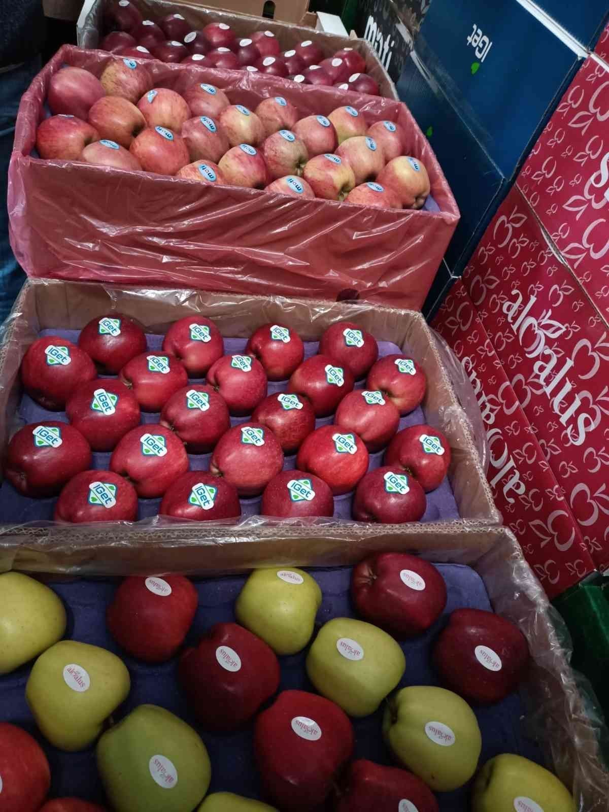 Elma üretimi yatırımlarla artırılacak