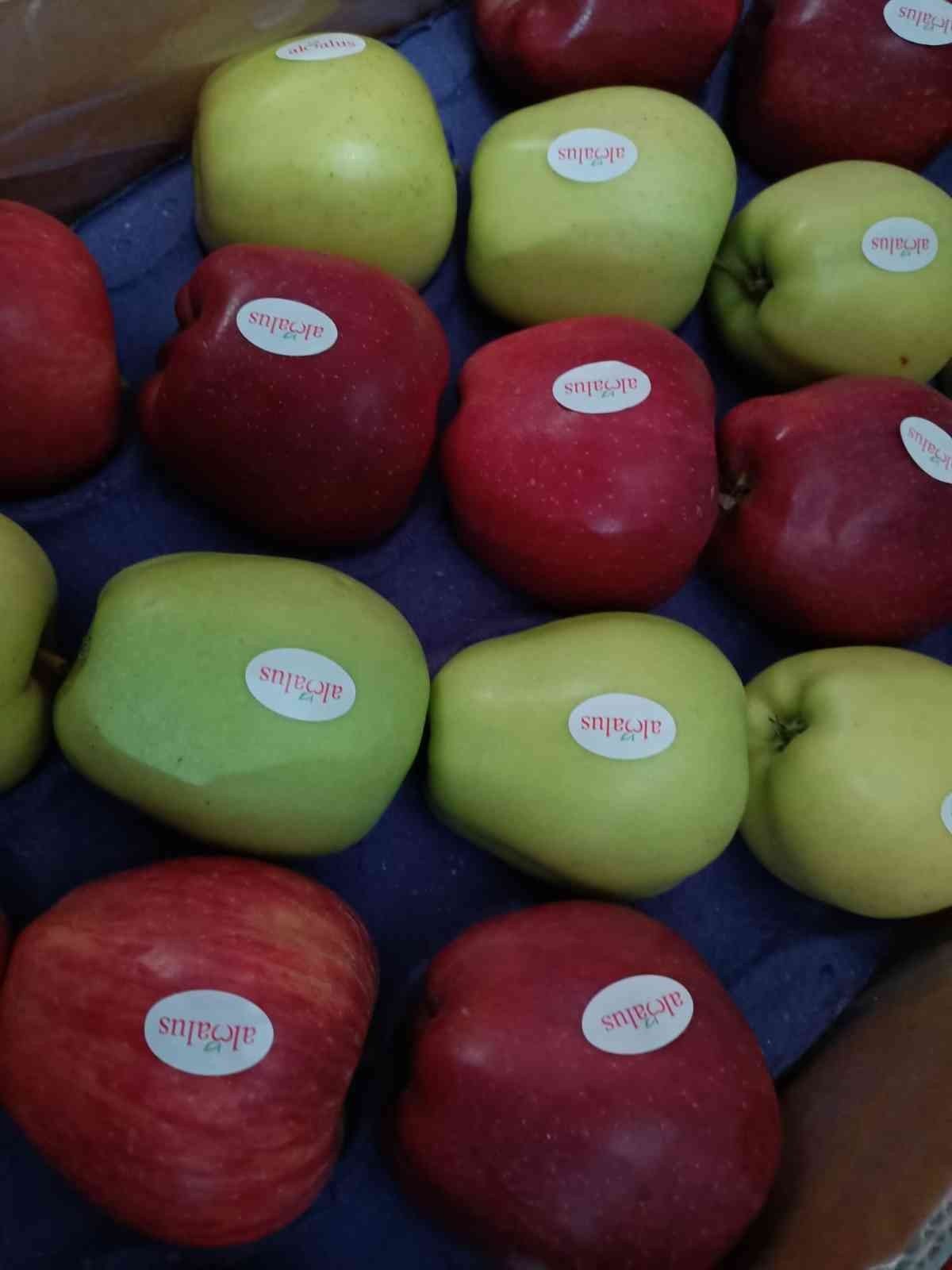 Elma üretimi yatırımlarla artırılacak