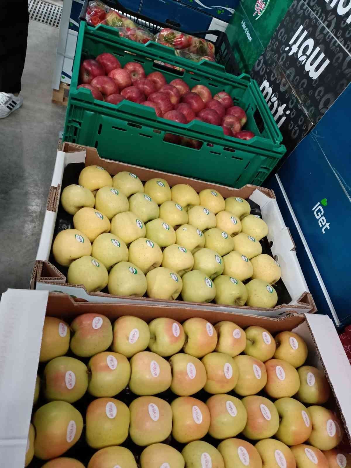 Elma üretimi yatırımlarla artırılacak