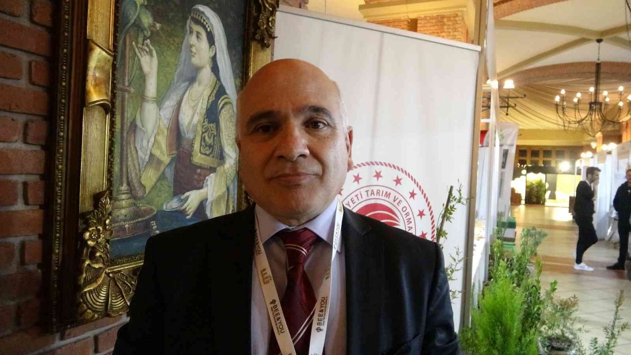 Bal üreticisi Yıldırım, "Yangınlar sonrası narenciye balı üzerine yoğunlaştık"