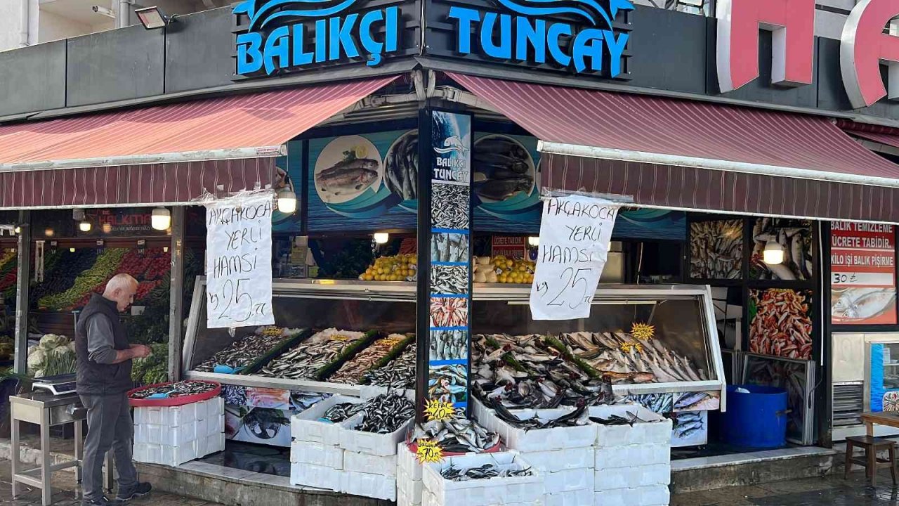 Palamuttan sonra gelen hamsi yüz güldürüyor