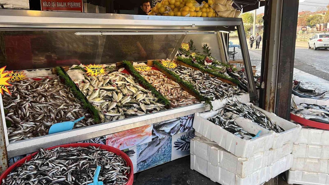 Palamuttan sonra gelen hamsi yüz güldürüyor