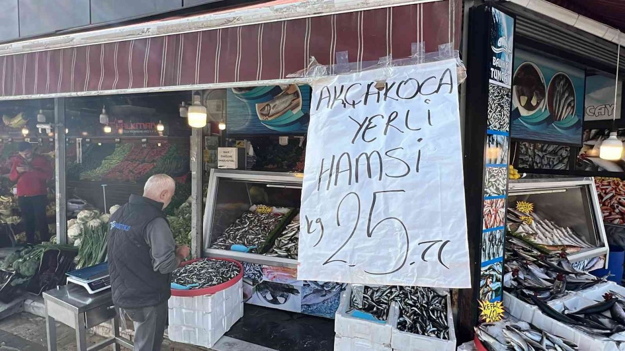 Palamuttan sonra gelen hamsi yüz güldürüyor