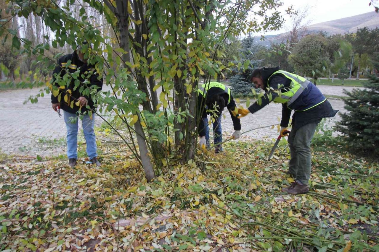 Bayburt Belediyesinden ağaç budama çalışması