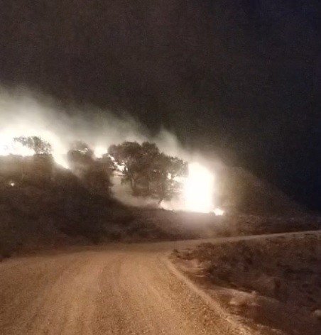 Gökçeada’da otluk alanda yangın çıktı