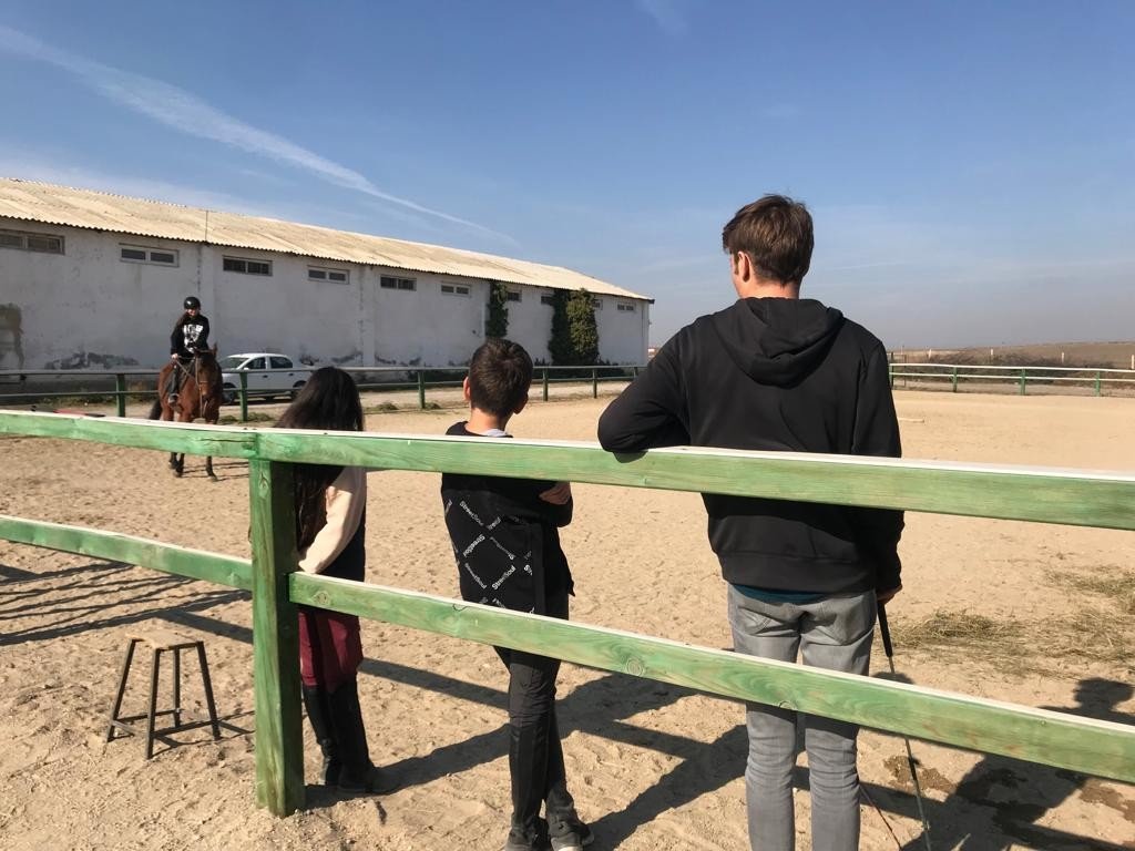 Ara tatili at üstünde geçirdiler