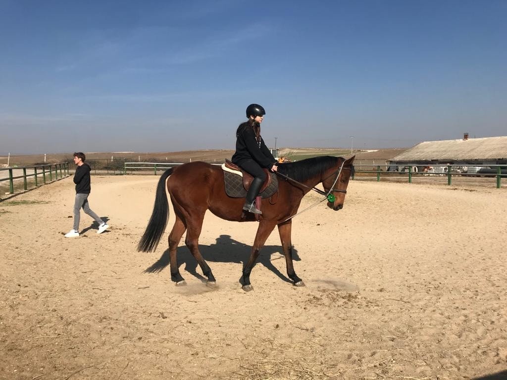 Ara tatili at üstünde geçirdiler