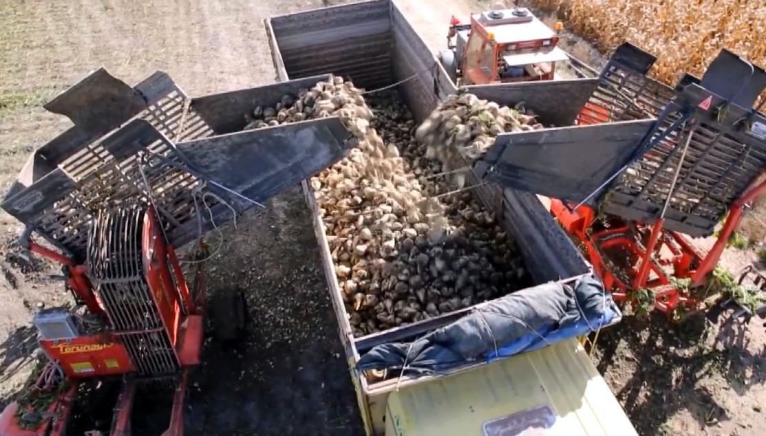 "Türkiye’de ne şeker ne de pirinç krizi var"