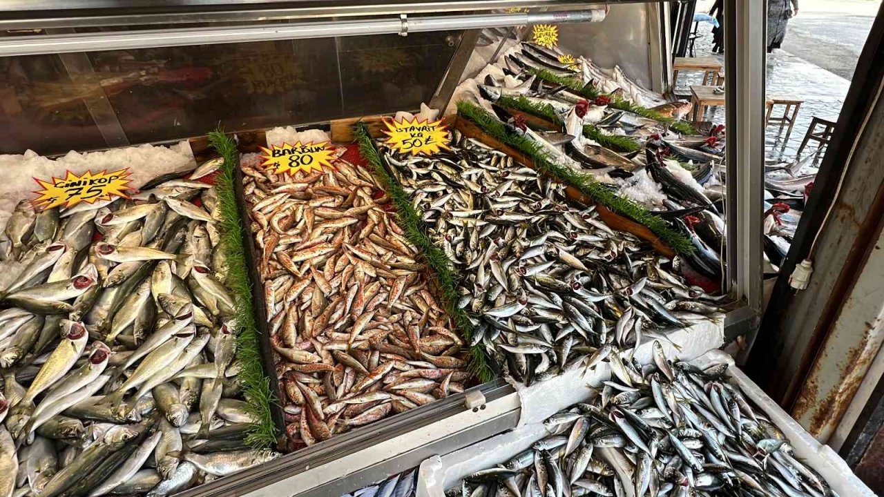 Palamuttan sonra gelen hamsi yüz güldürüyor