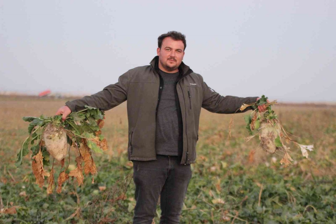 Konya’da 1 milyon dekar alanda şeker pancarı hasadı devam ediyor