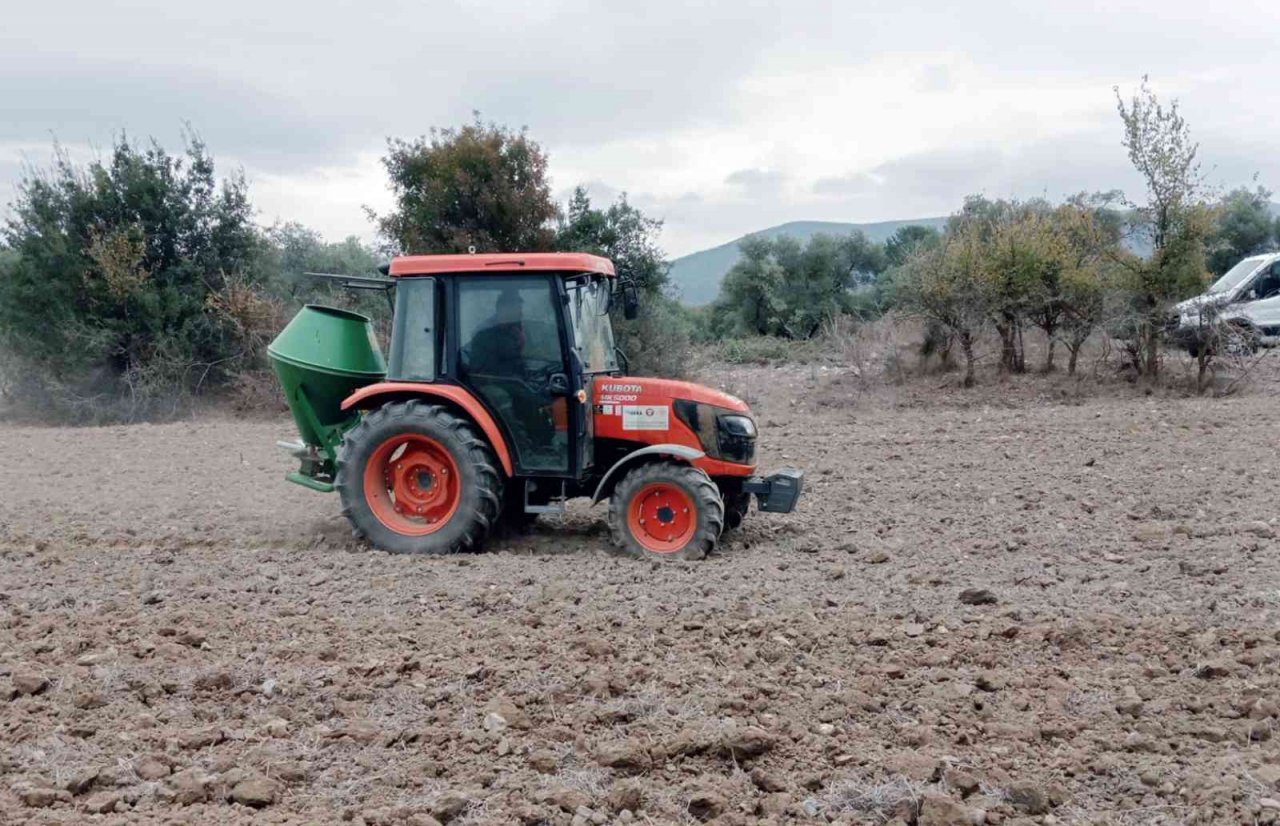 Menteşe’de Karakılçık ata tohumu toprakla buluştu