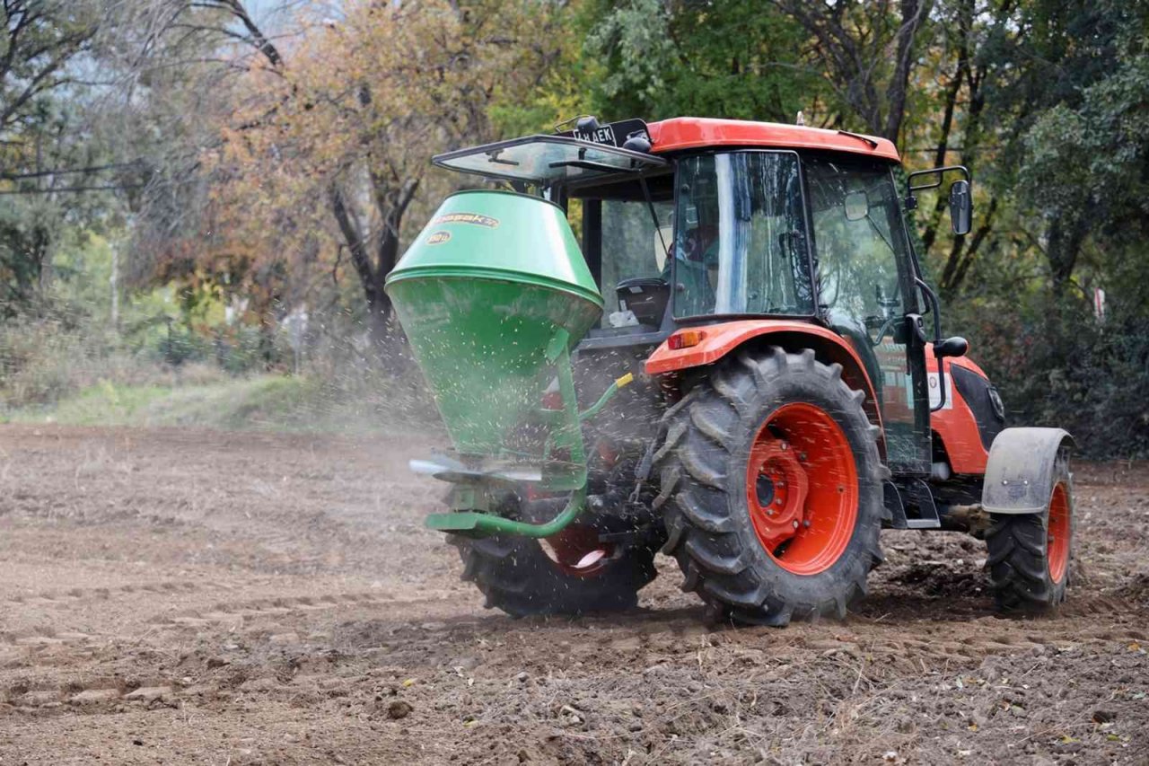 Menteşe’de Karakılçık ata tohumu toprakla buluştu