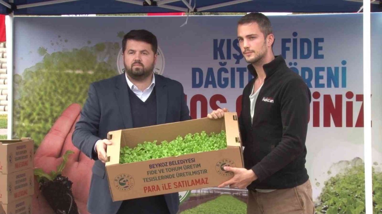 Beykoz’da çiftçilere 400 bin kışlık fide desteği