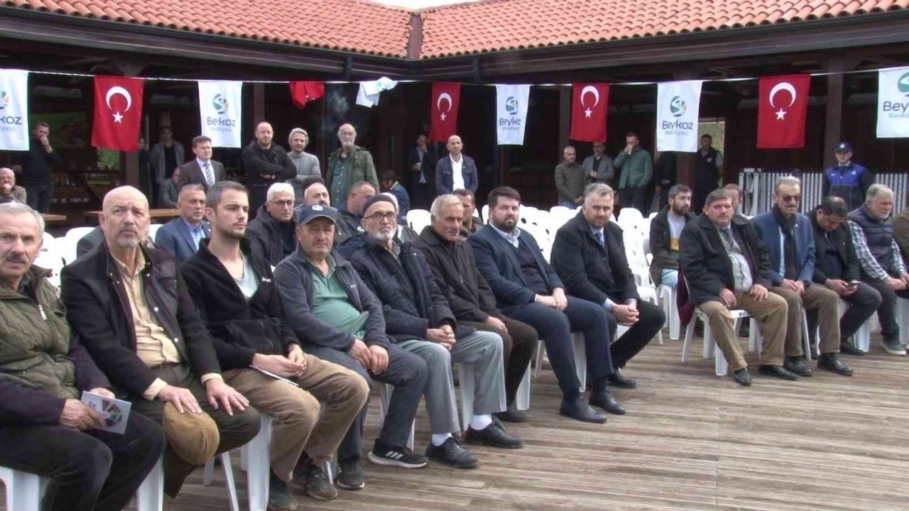 Beykoz’da çiftçilere 400 bin kışlık fide desteği