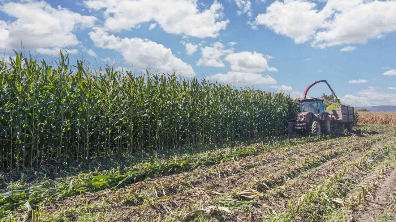 Denizlili üreticinin yüzü aldığı dev yardımlar sayesinde gülüyor