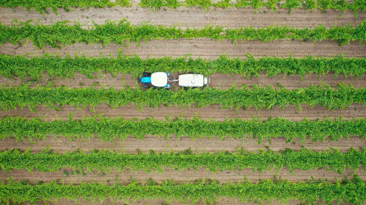 Denizlili üreticinin yüzü aldığı dev yardımlar sayesinde gülüyor