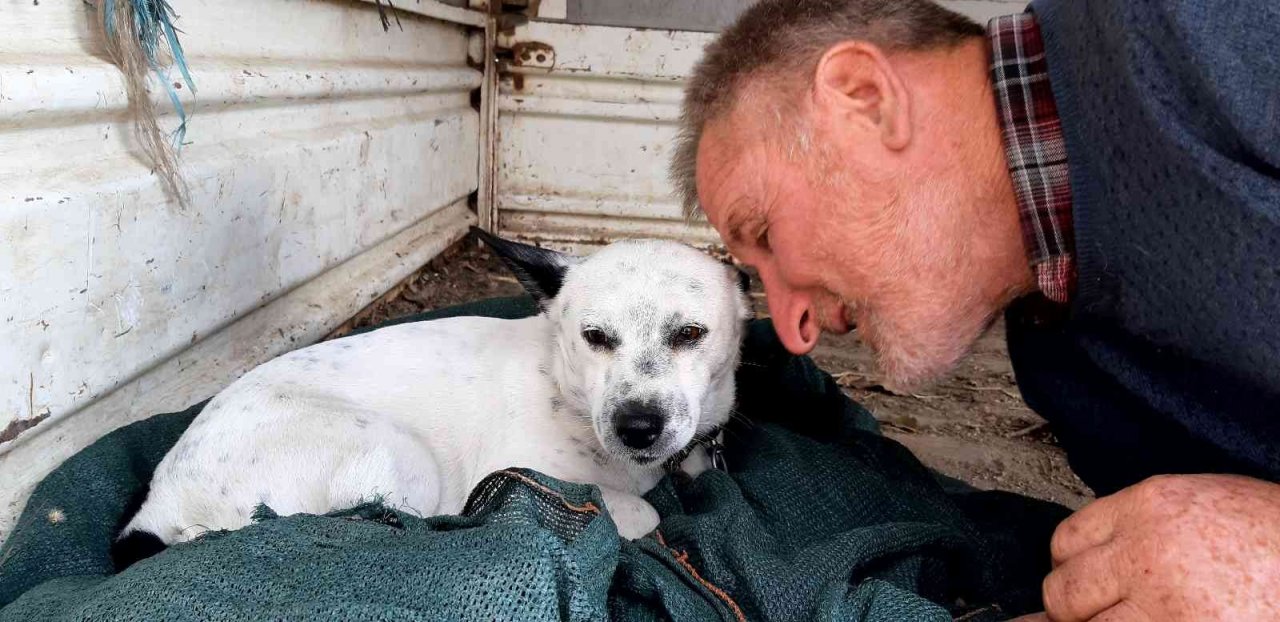 Onun can dostu "Atlas"ı oldu