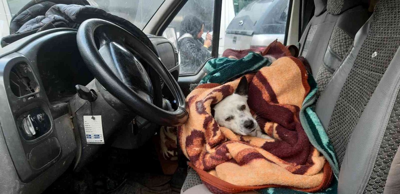 Onun can dostu "Atlas"ı oldu