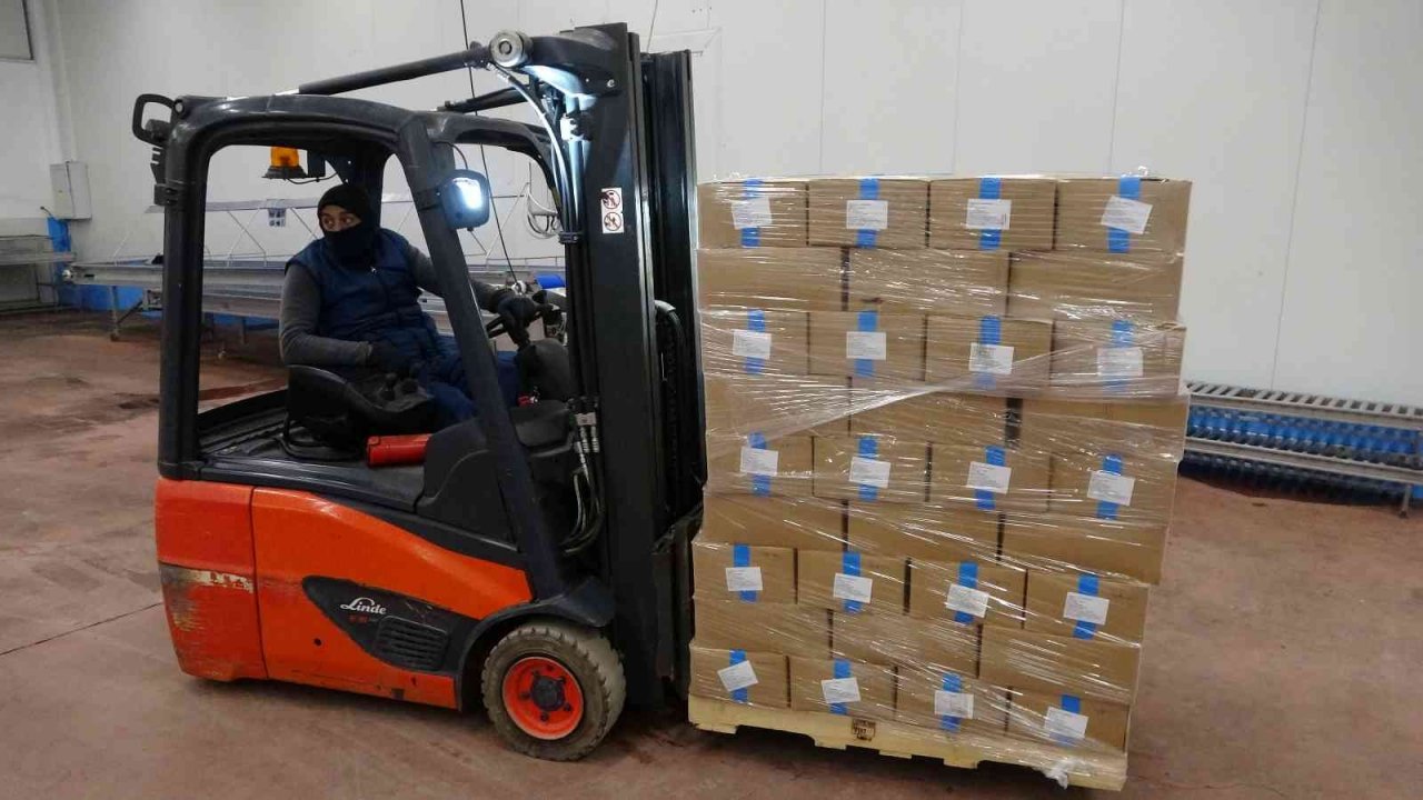 Malatya’dan ABD ve AB ülkelerine dondurulmuş çilek ihracatı