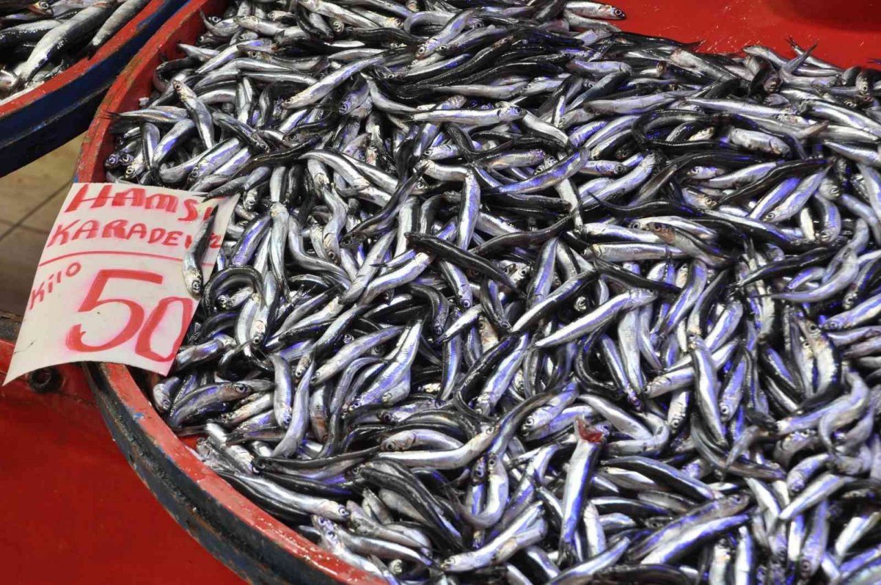 Mudurnu’da pazar tezgahlarında balık bolluğu