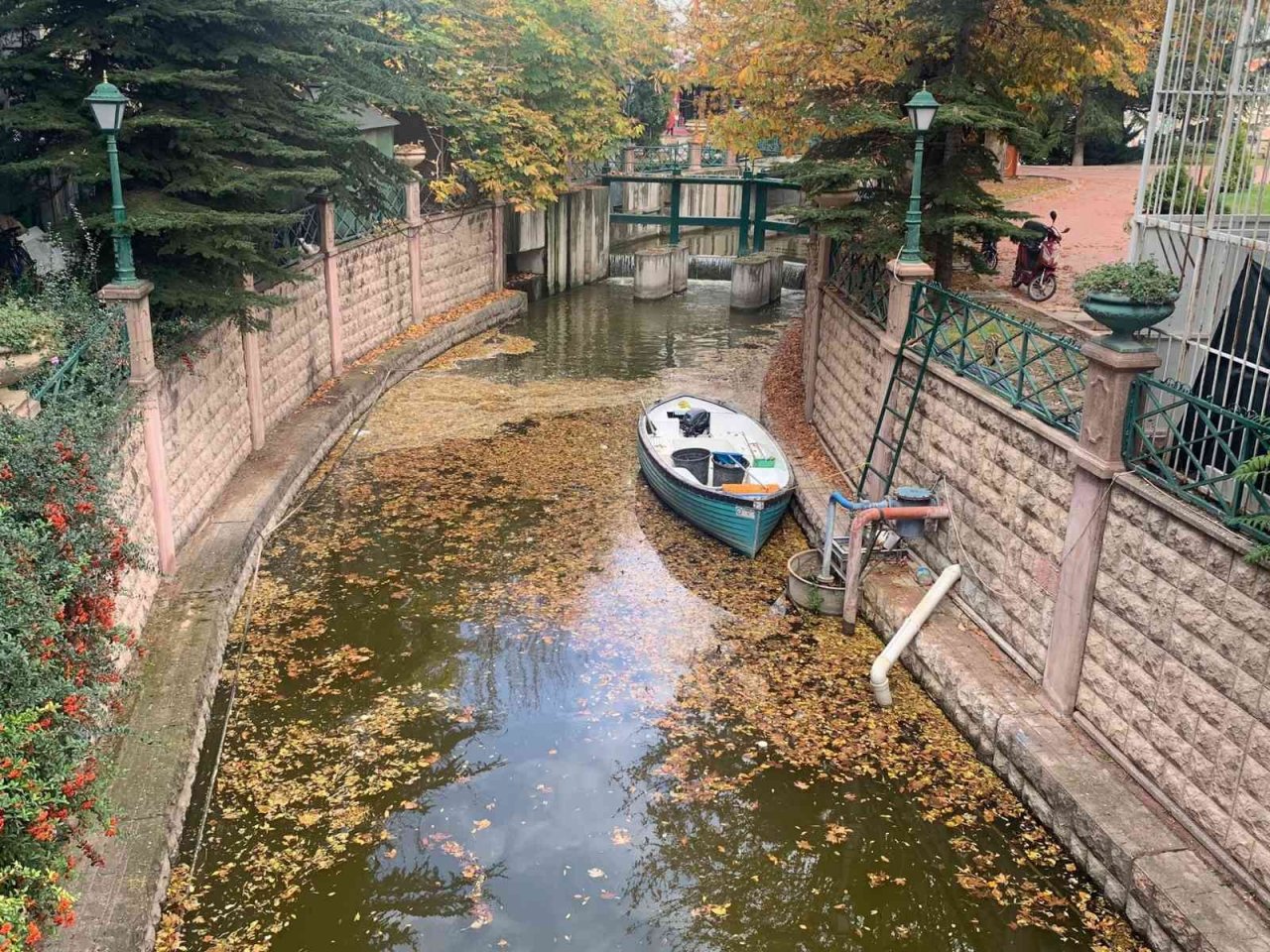 Dökülen yapraklar Porsuk yüzeyini kapladı