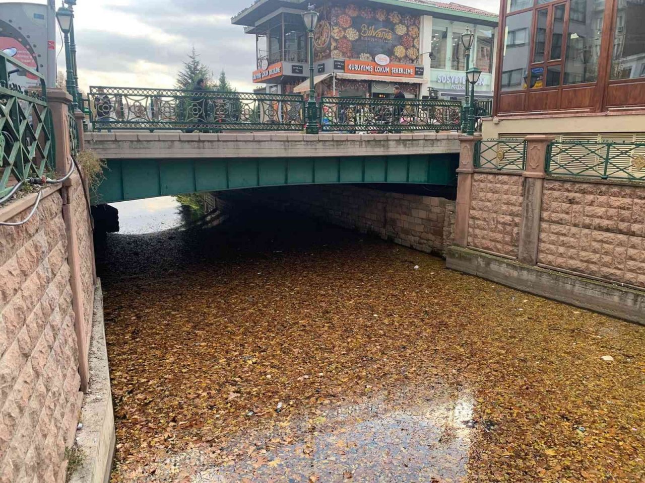 Dökülen yapraklar Porsuk yüzeyini kapladı