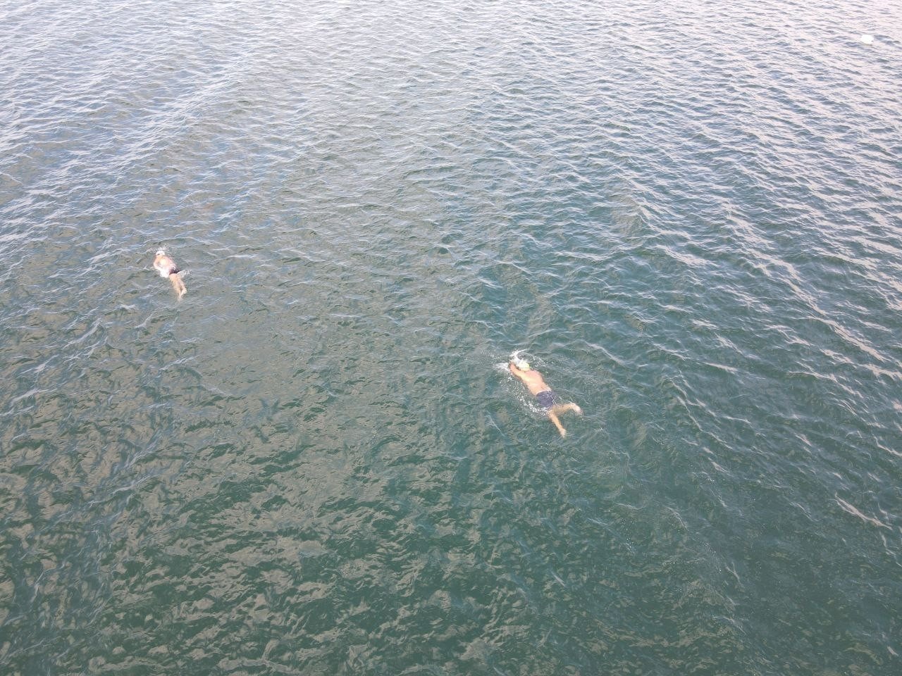 Kasım ayının ortasında gölde yüzdüler