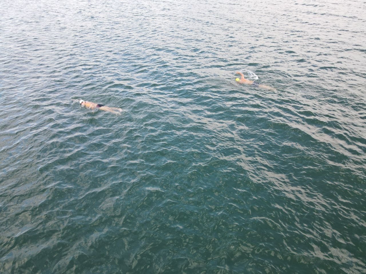 Kasım ayının ortasında gölde yüzdüler