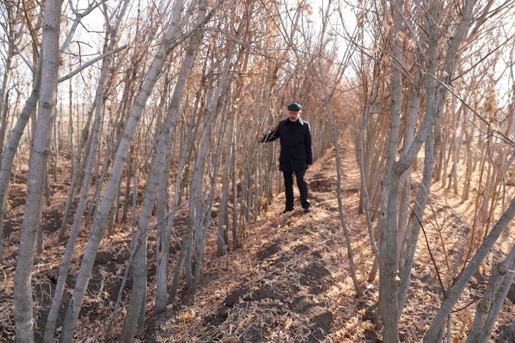 Kocasinan Belediyesi; Kuru Yaprakları Gübreye Dönüştürüyor