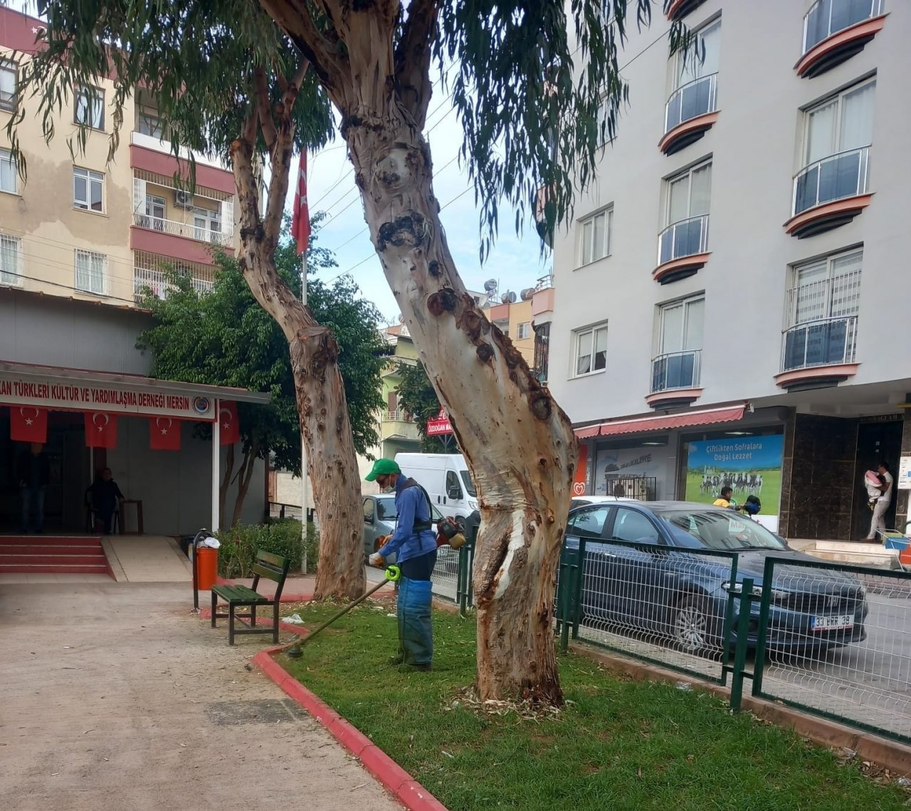 Toroslar’da yeşil alanlar kışa hazırlanıyor