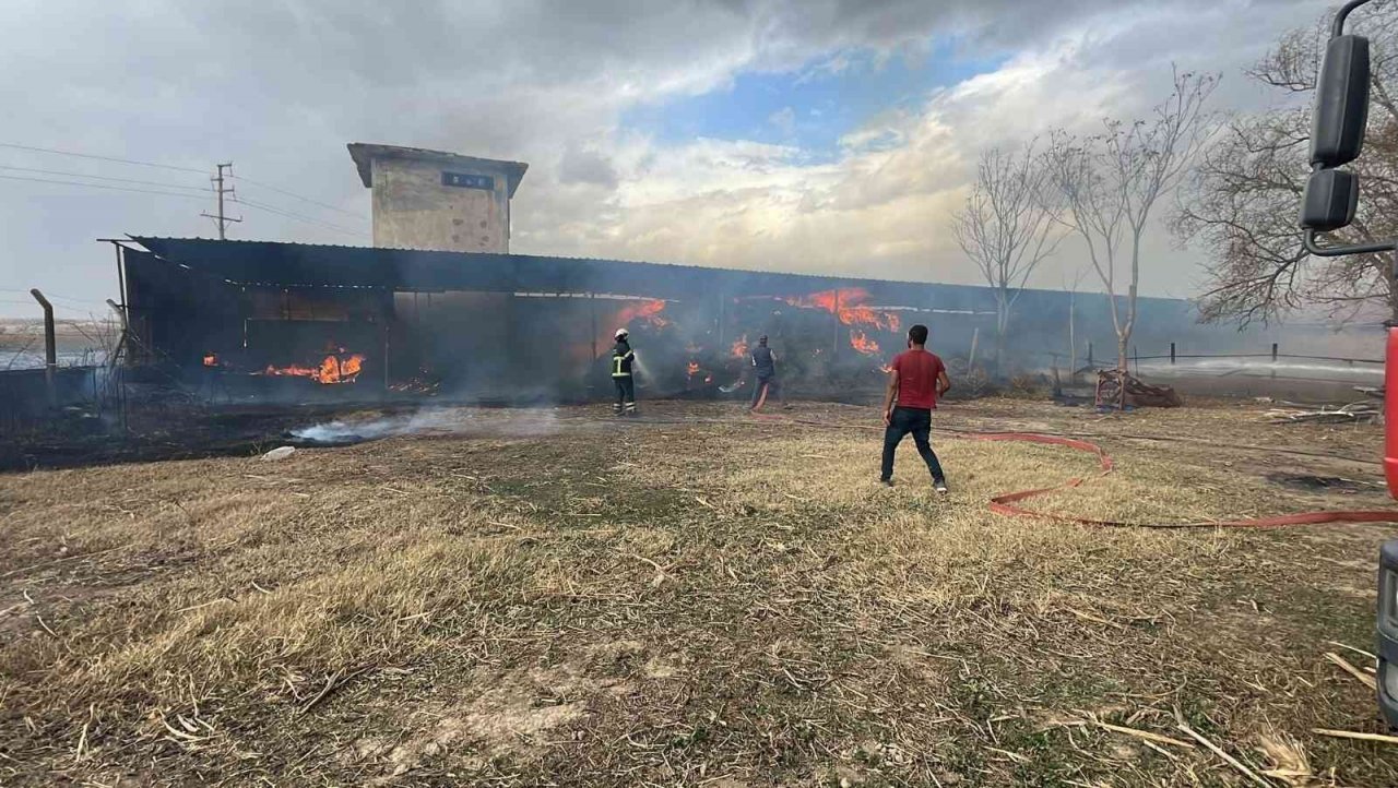 Bursa’da ahırda korkutan yangın