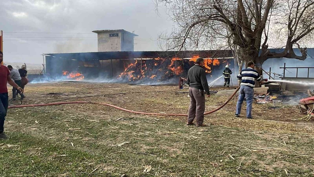 Bursa’da ahırda korkutan yangın