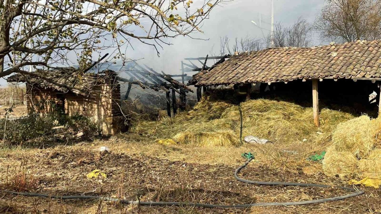 Bursa’da ahırda korkutan yangın