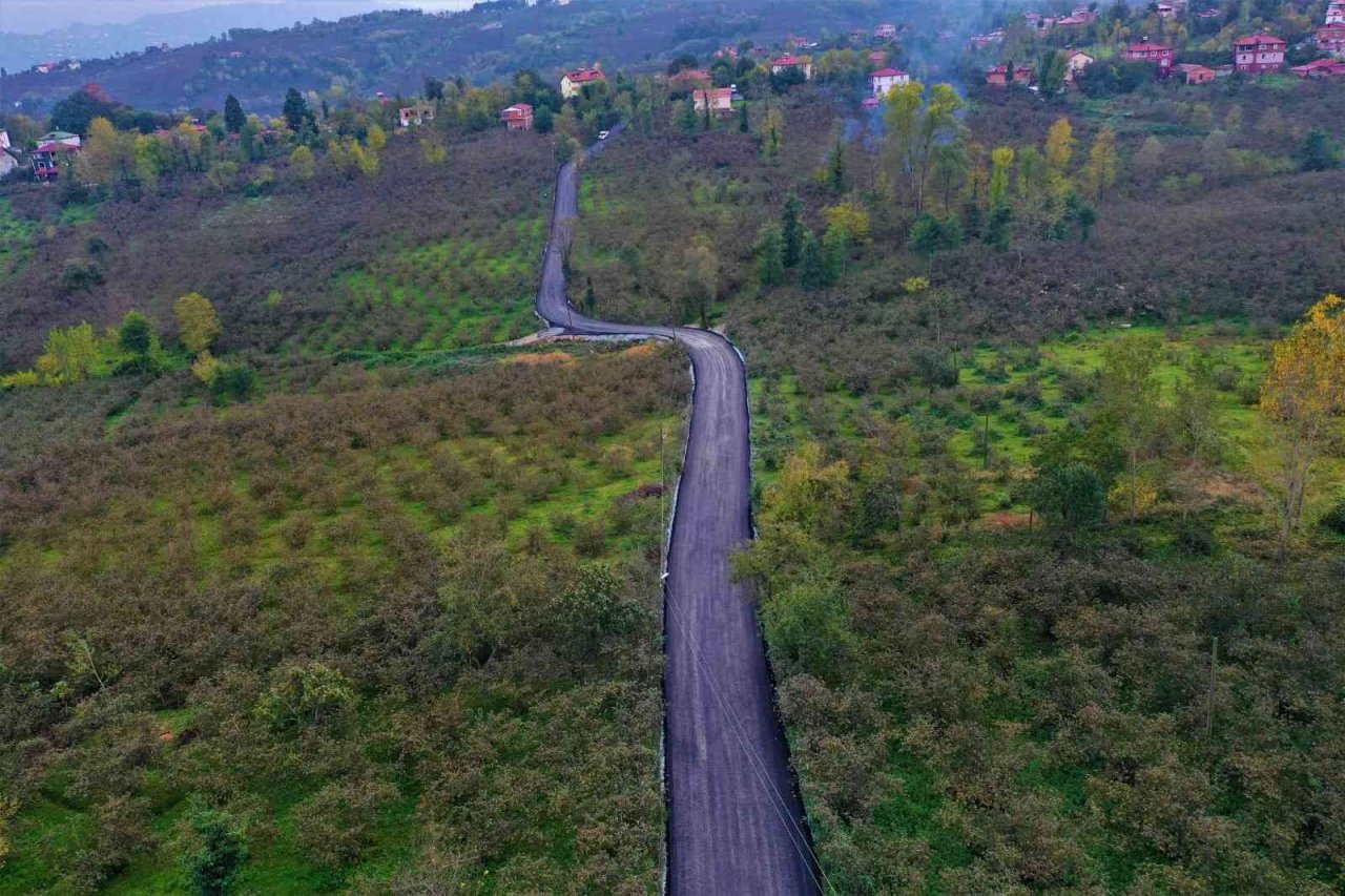 Altınordu’da sıcak asfalt çalışmaları sürüyor