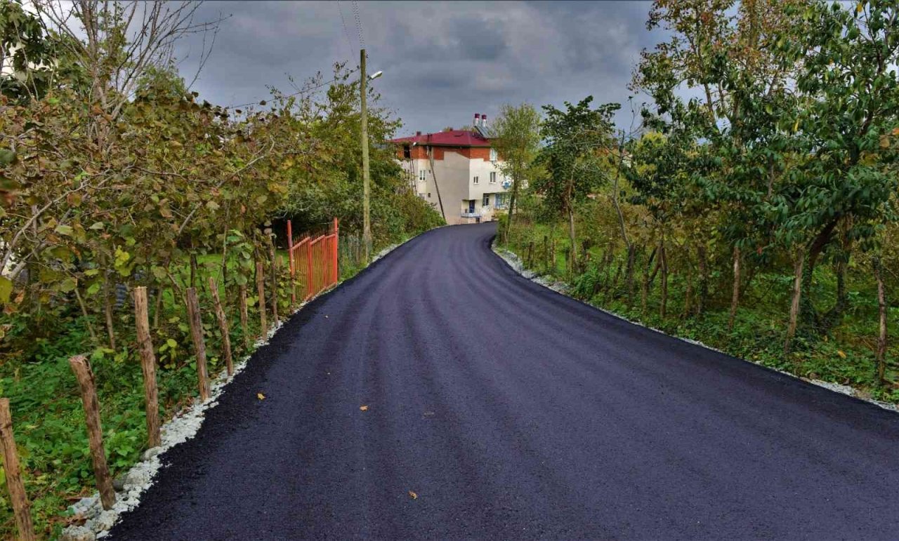 Altınordu’da sıcak asfalt çalışmaları sürüyor