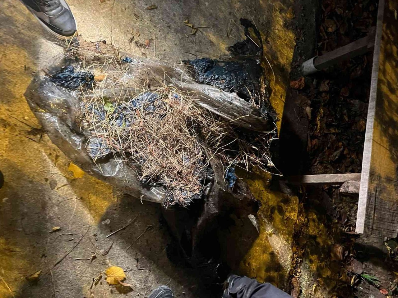 Ordu’da samanlık yangını