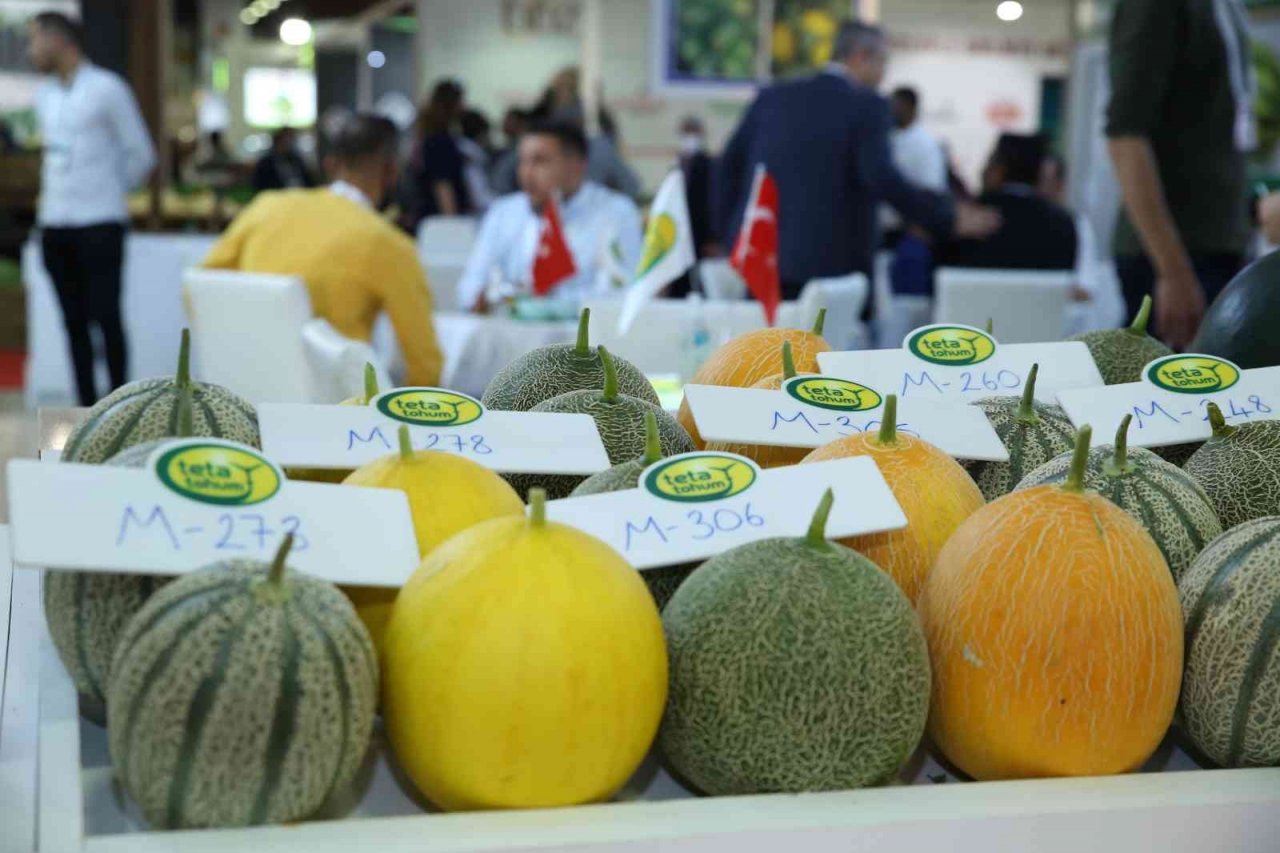 GROWTECH için geri sayım başladı