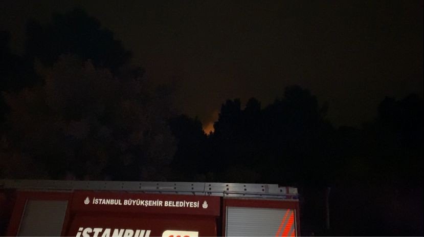 Kartal Aydos Ormanı’nda çıkan yangın söndürüldü