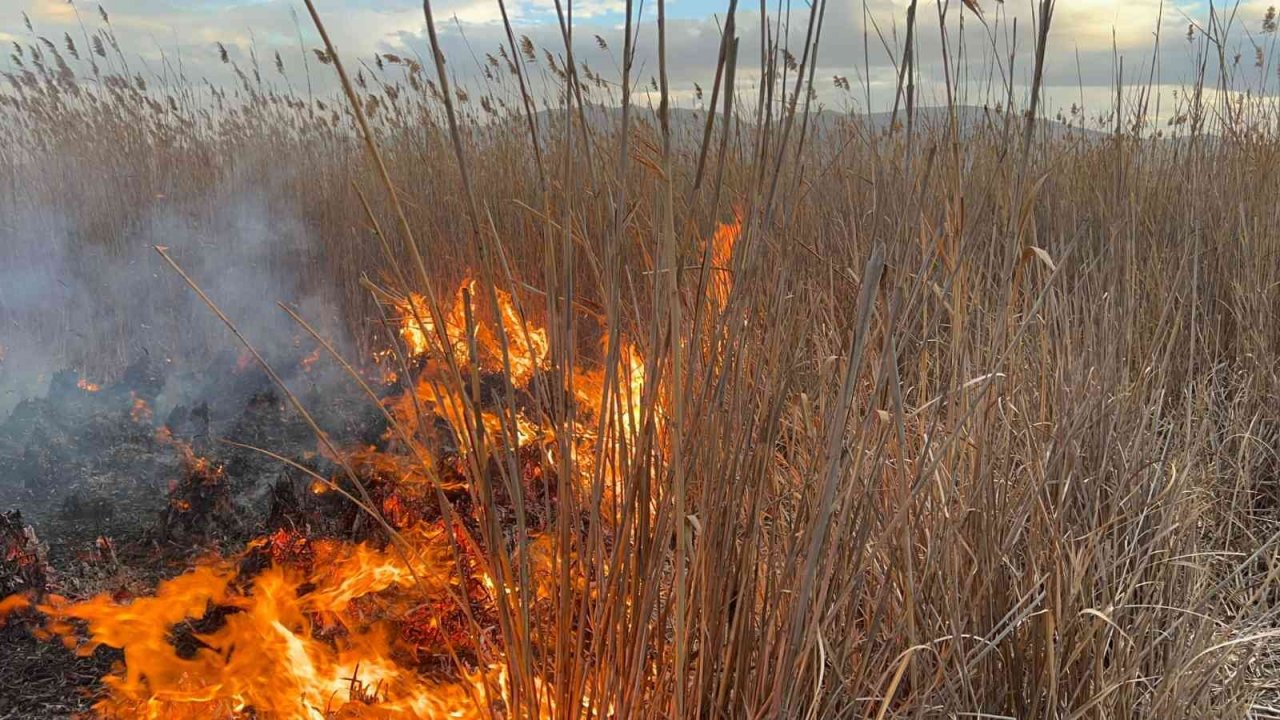 Doğal güzelliği ile gündeme gelen gölde büyük yangın