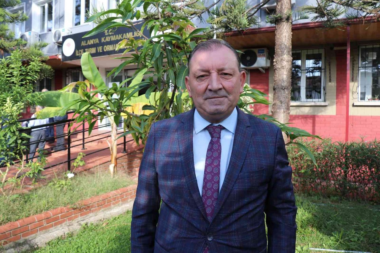 Bir ağacından 190 bin TL gelir sağlanan mango üreticinin yeni gözdesi