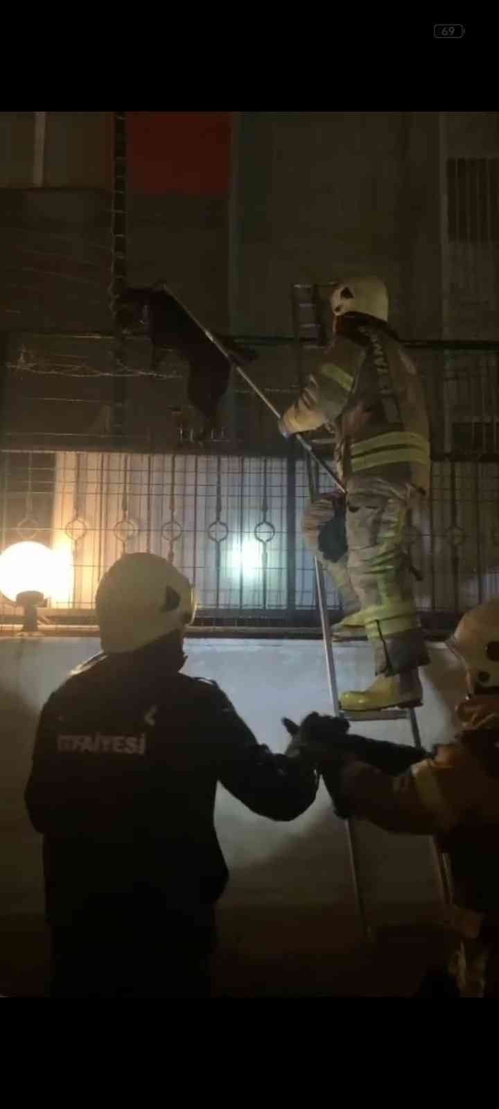 Beylikdüzü’nde tellere sıkışan köpeği itfaiye ekipleri kurtardı