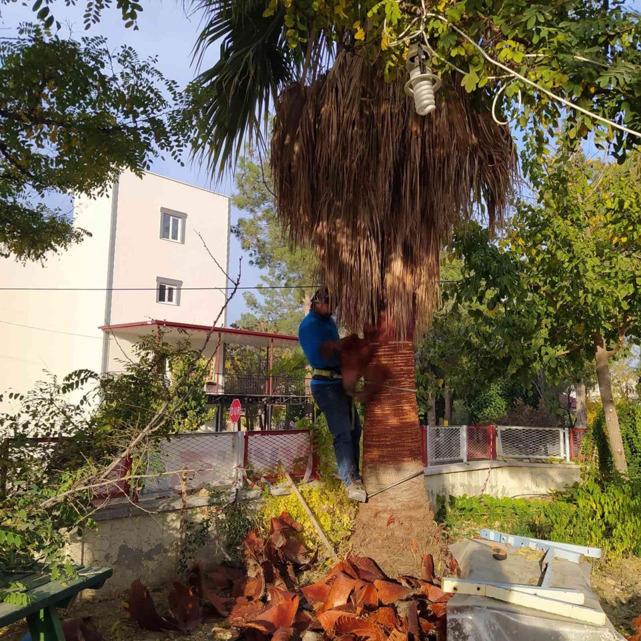 Mut’ta temizlik çalışmaları