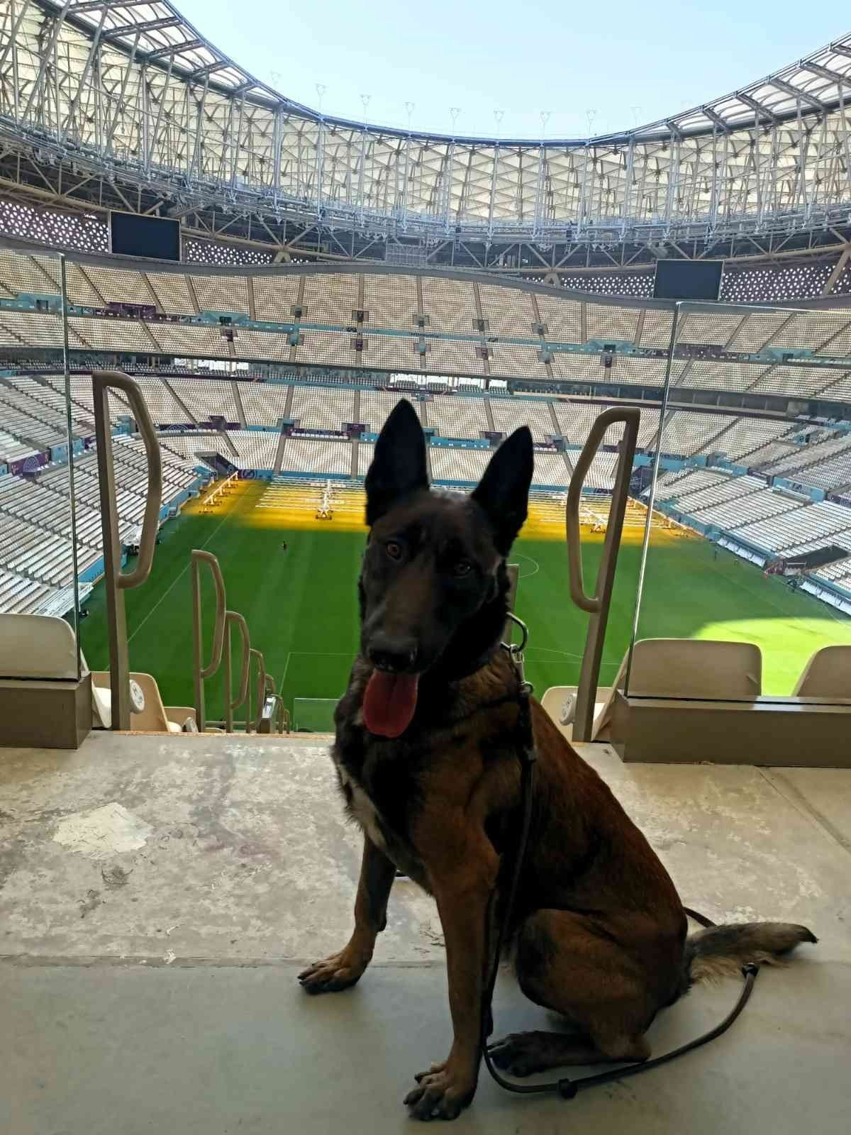 Bozo, Dünya Kupası’nda görevlendirildi