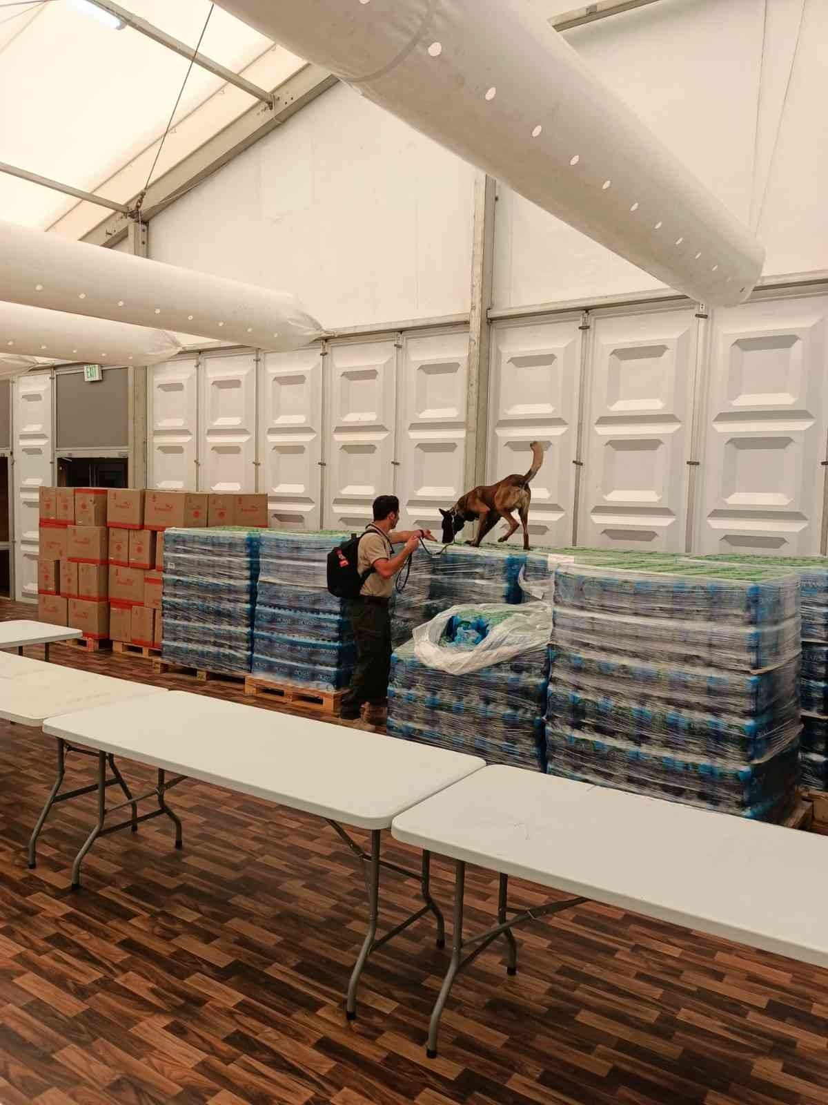 Bozo, Dünya Kupası’nda görevlendirildi