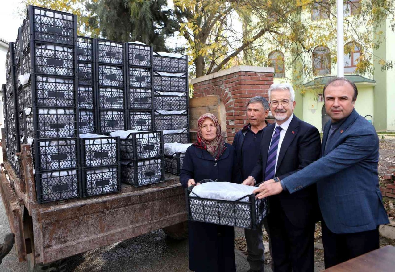 Nilüfer Belediyesi’nden kadın üreticilere 100 bin çilek fidesi