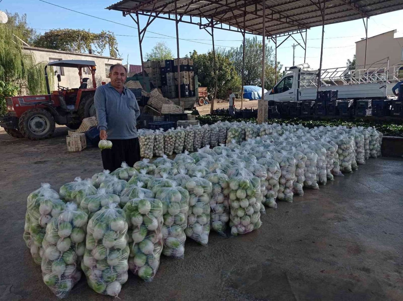 Ispanak ve turp hasadı başladı: İş çok, işçi yok