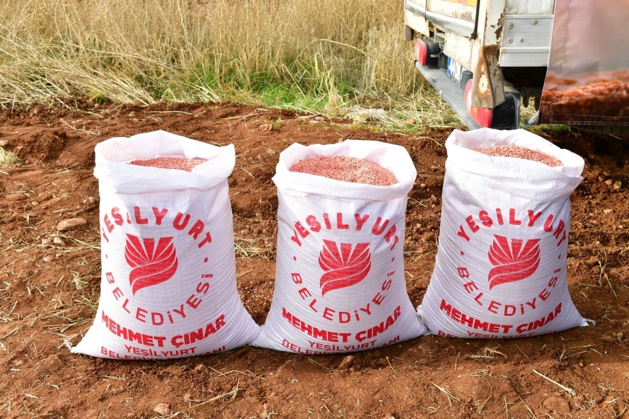 Örnek köye arpa ve buğday tohumu ekildi