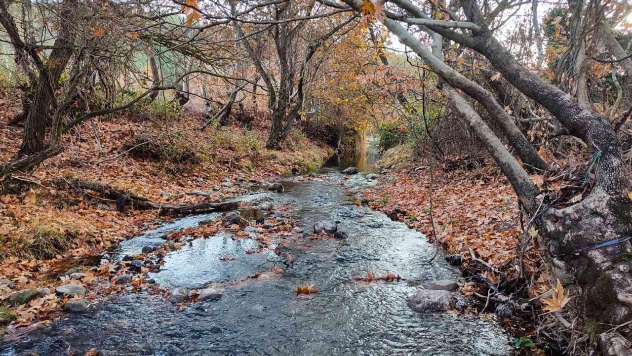 Gördes’te sonbahar manzaraları mest etti